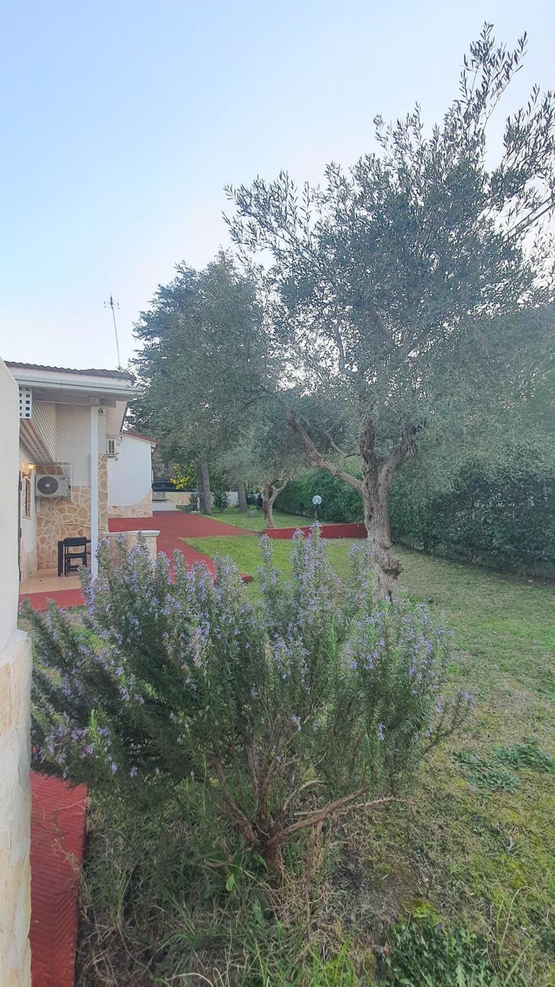 Mercadante - Luxury Holiday House Cassano delle Murge Eksteriør bilde