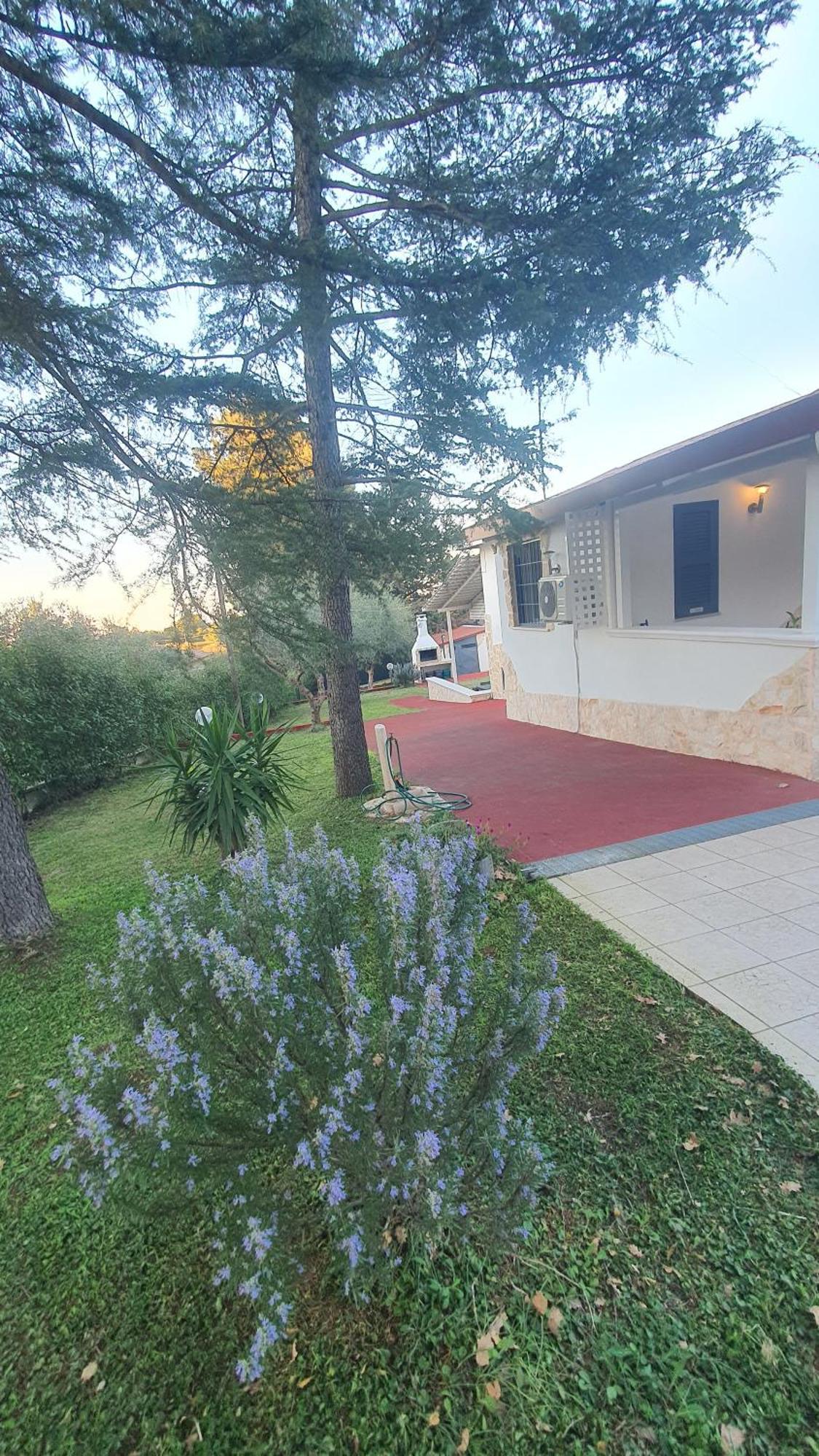Mercadante - Luxury Holiday House Cassano delle Murge Eksteriør bilde